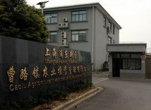 公司外景图片,现代都市中的绿色明珠